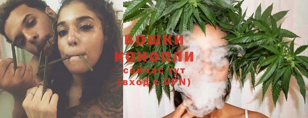 PSILOCYBIN Магадан
